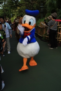 donald duck alive